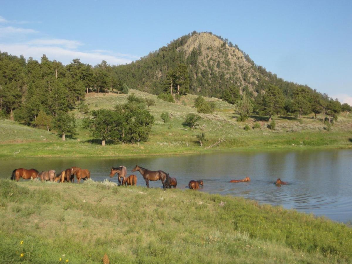 Devils TowerLake Guest Ranch别墅 外观 照片