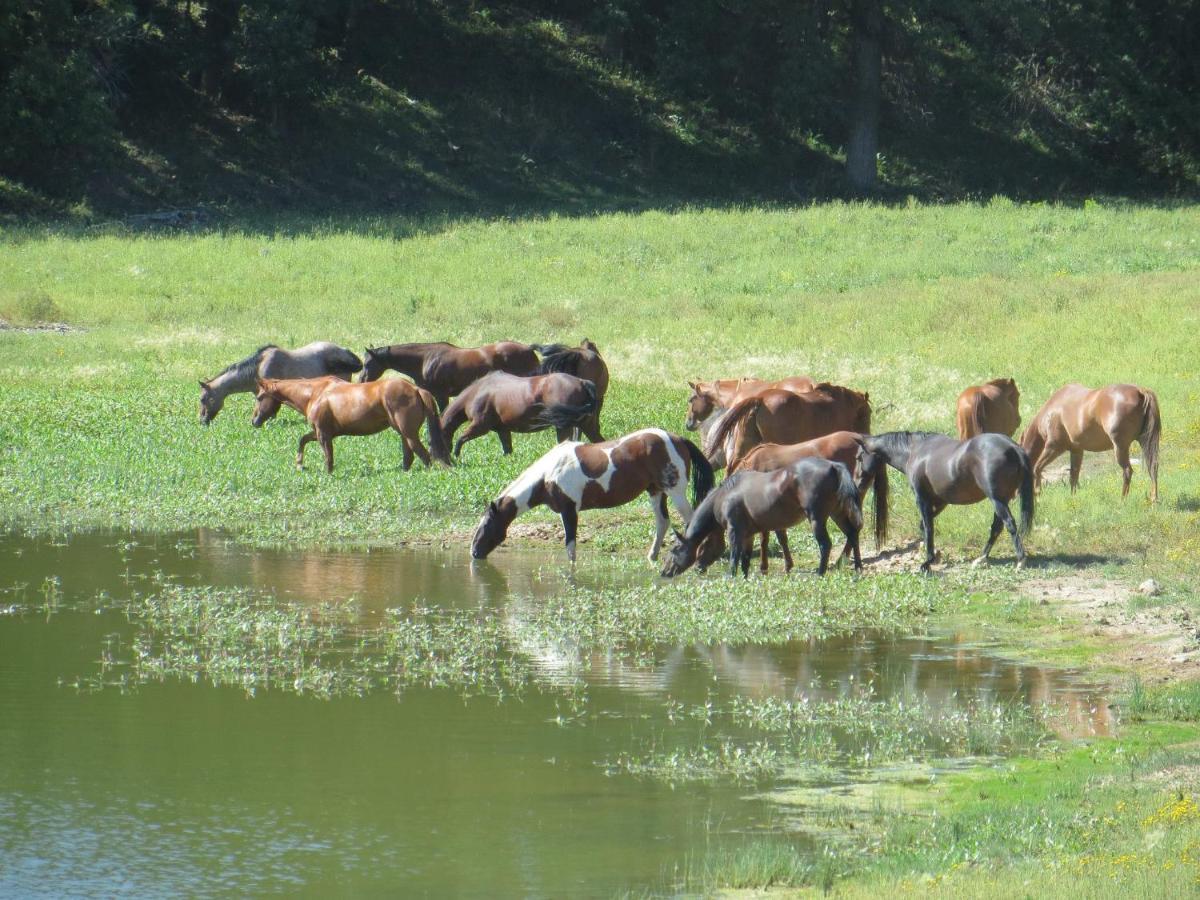 Devils TowerLake Guest Ranch别墅 外观 照片