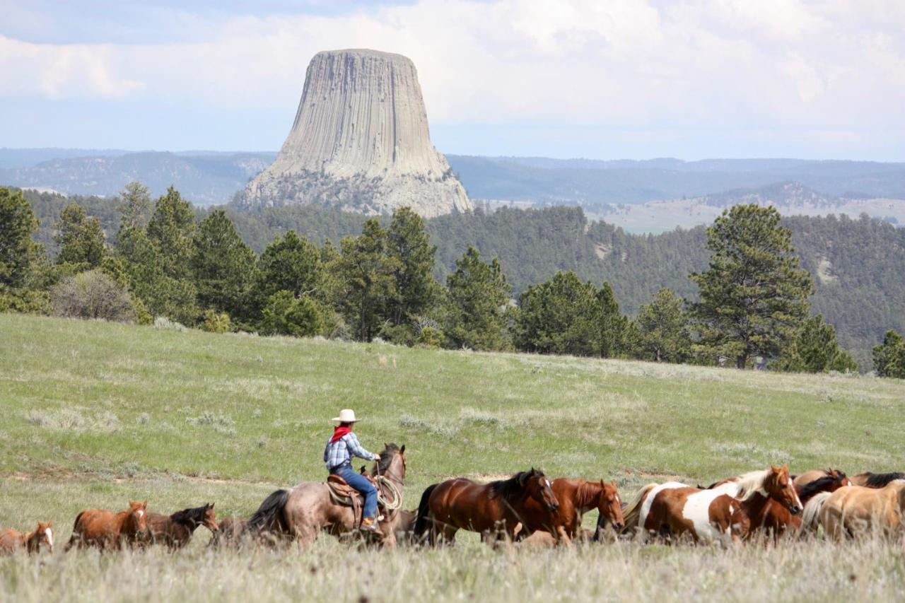 Devils TowerLake Guest Ranch别墅 外观 照片